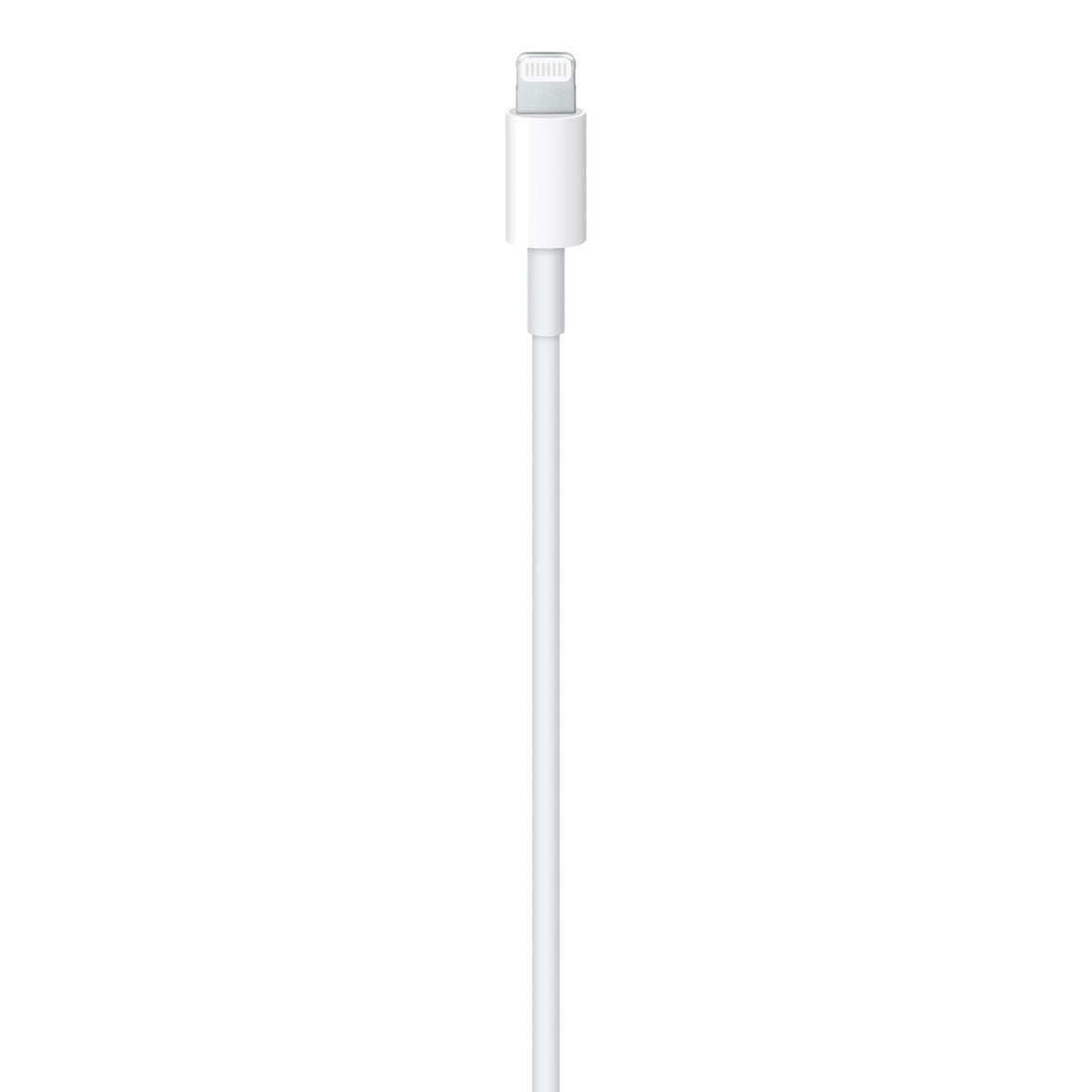 Evo 20W Fast Original Adapter and Cable with 1 Year Guarantee